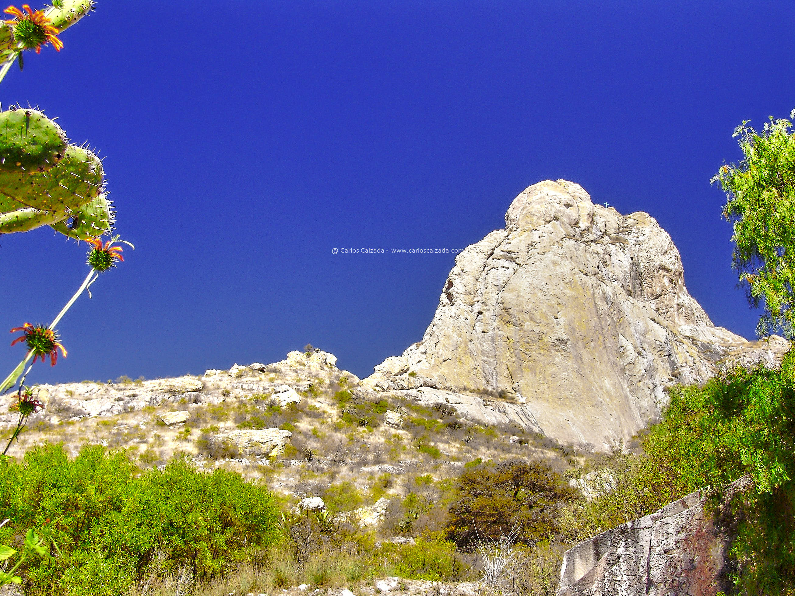 ene. 25 2009-Peña de Bernal-DSC00090.jpg